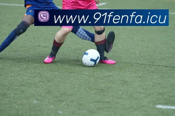 j9游会j9官网首页登录入口平台生态图